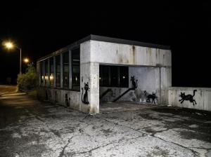 Stray Graffiti